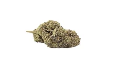 Wagyuhaze full
