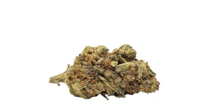 White truffle full