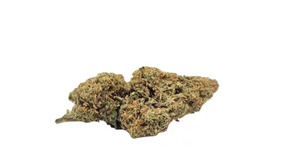 Chocolope blanc