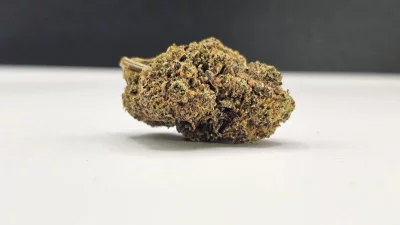 Bubblegum