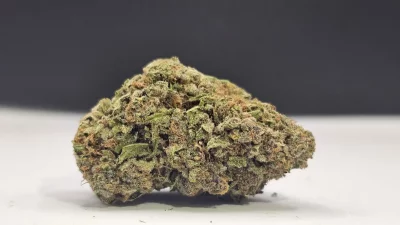 Orange 43 cbda
