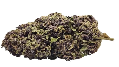 Lime purple full