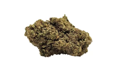 Jack herer full