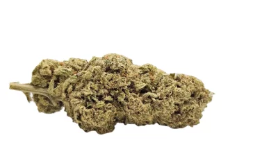 Silver haze full
