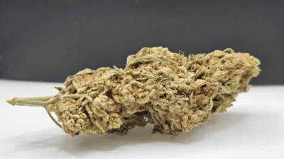 Speculos thca