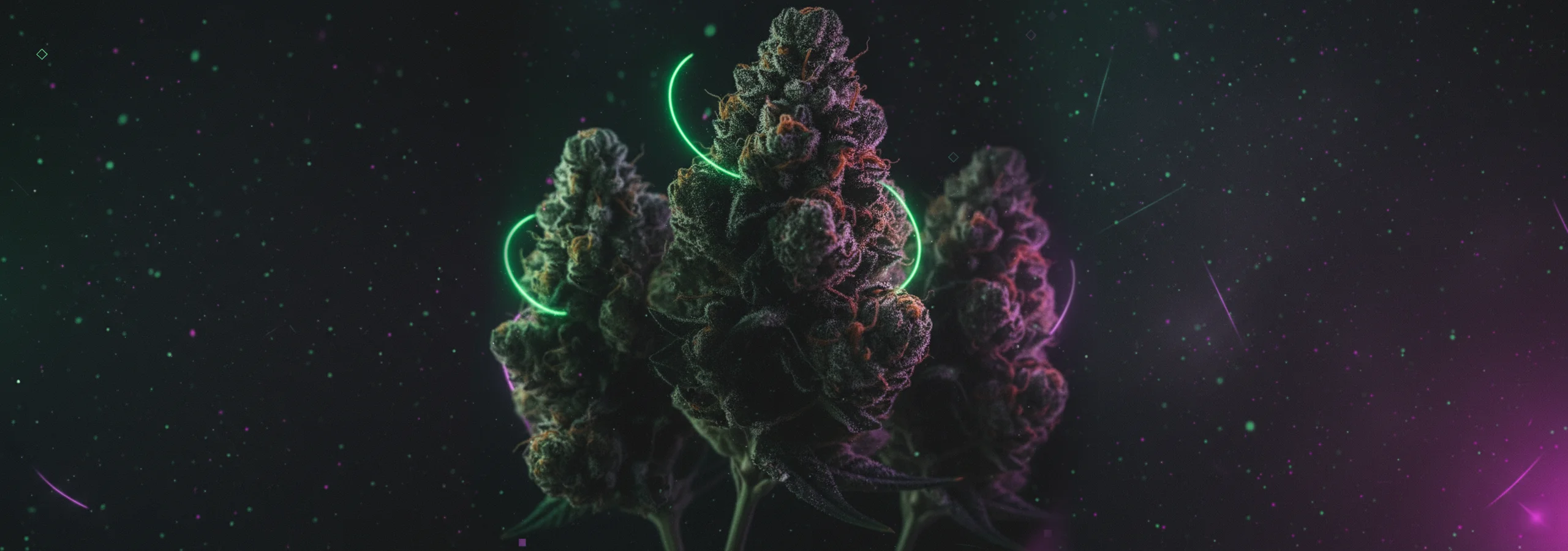 LPDT Production - Offres exclusives CBD